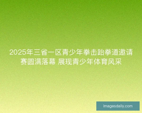 2025年三省一区青少年拳击跆拳道邀请赛圆满落幕 展现青少年体育风采