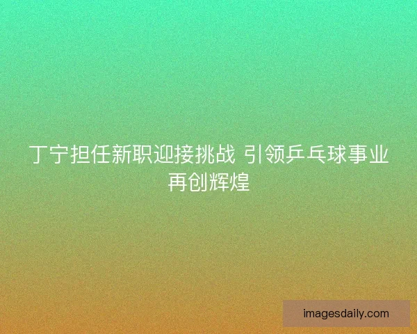 丁宁担任新职迎接挑战 引领乒乓球事业再创辉煌