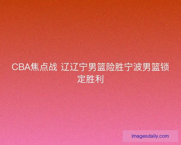 CBA焦点战 辽辽宁男篮险胜宁波男篮锁定胜利